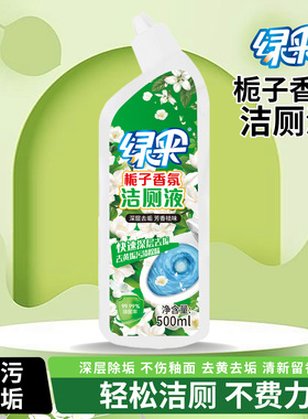 家用大牌洁厕剂深层瓦解污垢尿渍花香洁厕灵除臭去尿碱去黄