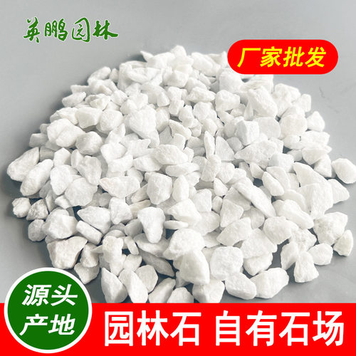 供应装饰造景白色砾石 惠州水磨石骨料白砾石  楼盘装饰白石子