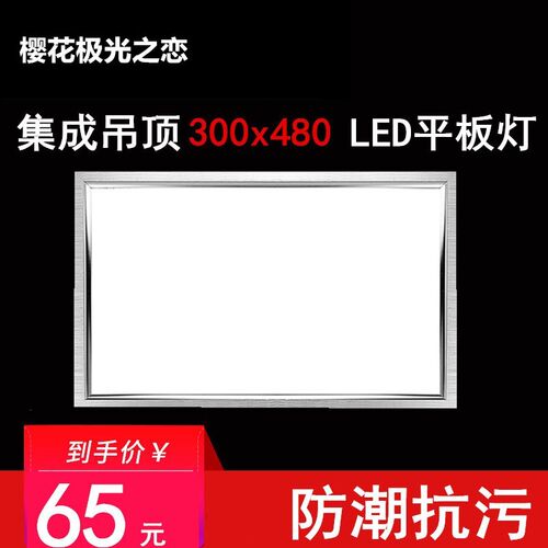 集成吊顶灯集成吊顶LED平板灯30*48cmLED厨卫面板灯300*480mm