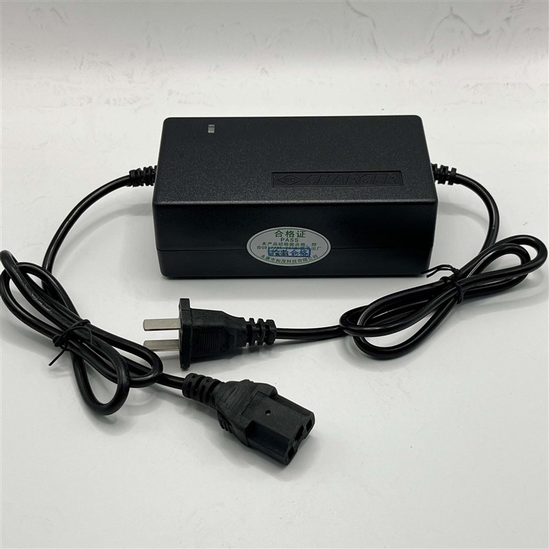 和茂车平衡车独轮车电动车充电器v2V3v8v铅酸电池适配器
