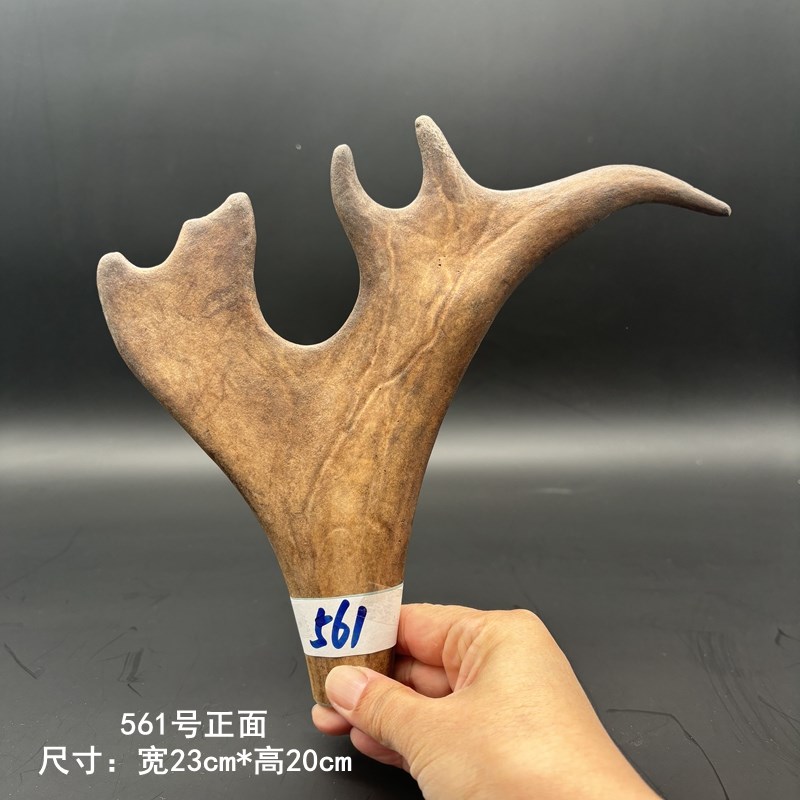 鹿角原角怪角雕刻料单根鹿角板料素骨真角手工diy 摆件工艺品原料