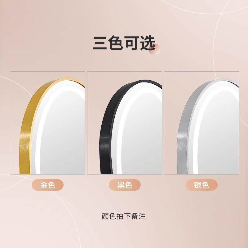全子地身镜穿衣落镜家用厅轻奢简约带灯网红女生卧室化妆客TSJ试