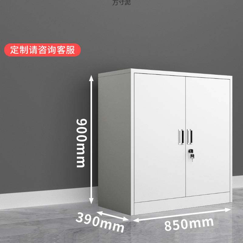 金属双门矮柜现代简约办公室财务文件资料收纳存储柜多层设计