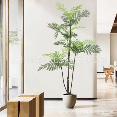 绿植蓝花楹内盆栽大仿真植型物室假树简约客地厅装饰lla16161品落