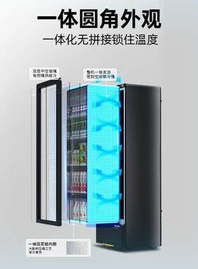 展星柜星单门冷藏示柜式饮料441柜商用冰立柜保鲜冷啤酒柜玻璃陈