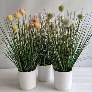 仿真芦苇蒲棒草水草绿植把束蒲香公英蒲棒水蜡烛狗尾A1圆球柄草
