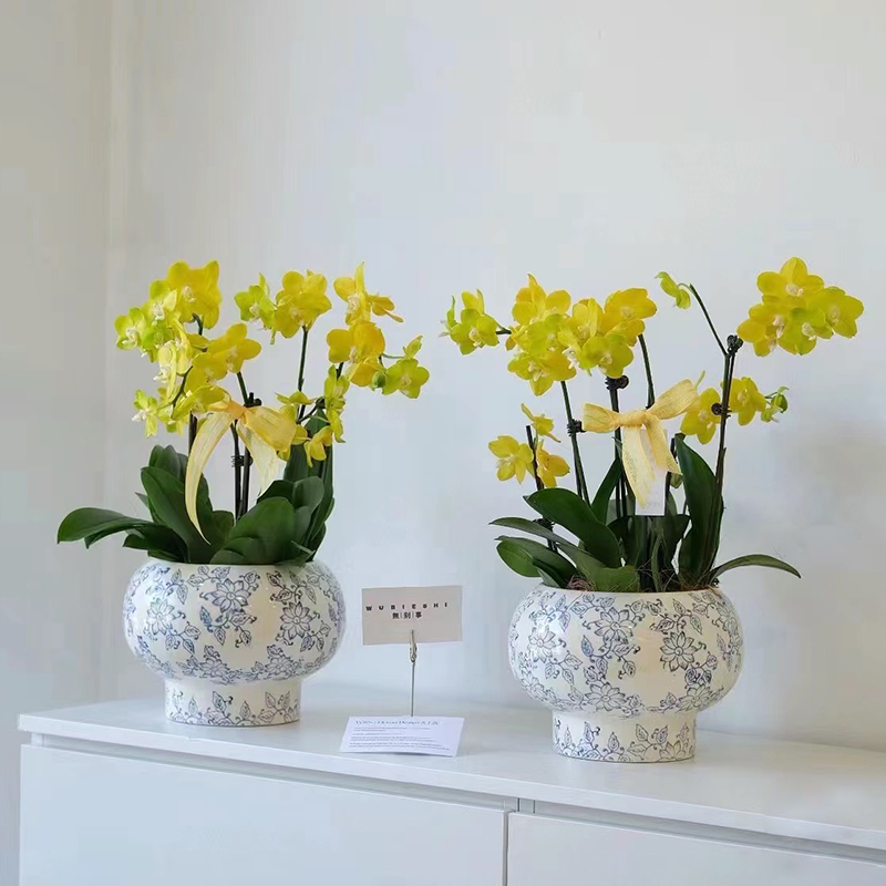 复古蝴蝶兰花盆套盆高档中式青花瓷花瓶福字陶瓷小花盆兰花专用盆