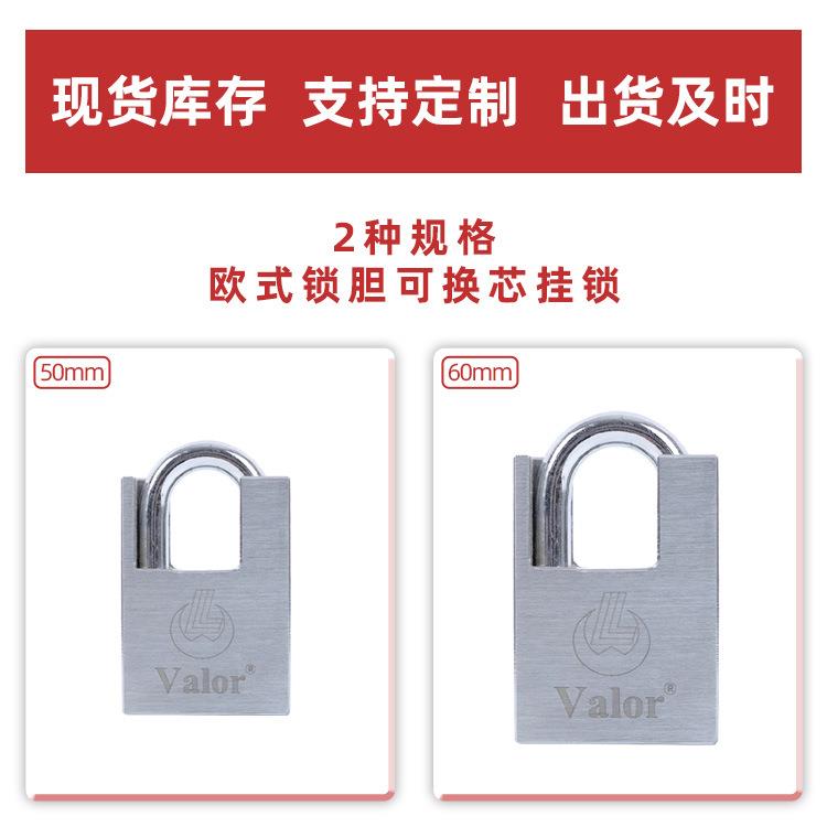 铜欧式锁胆换芯VB97锁可换锁芯全锁具全铜家用防盗可防撬安挂锁仓