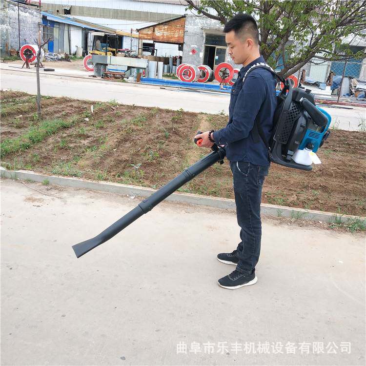 背负式汽油吹风机 二冲程大功率风力吹雪机 园林落叶除尘吹风机