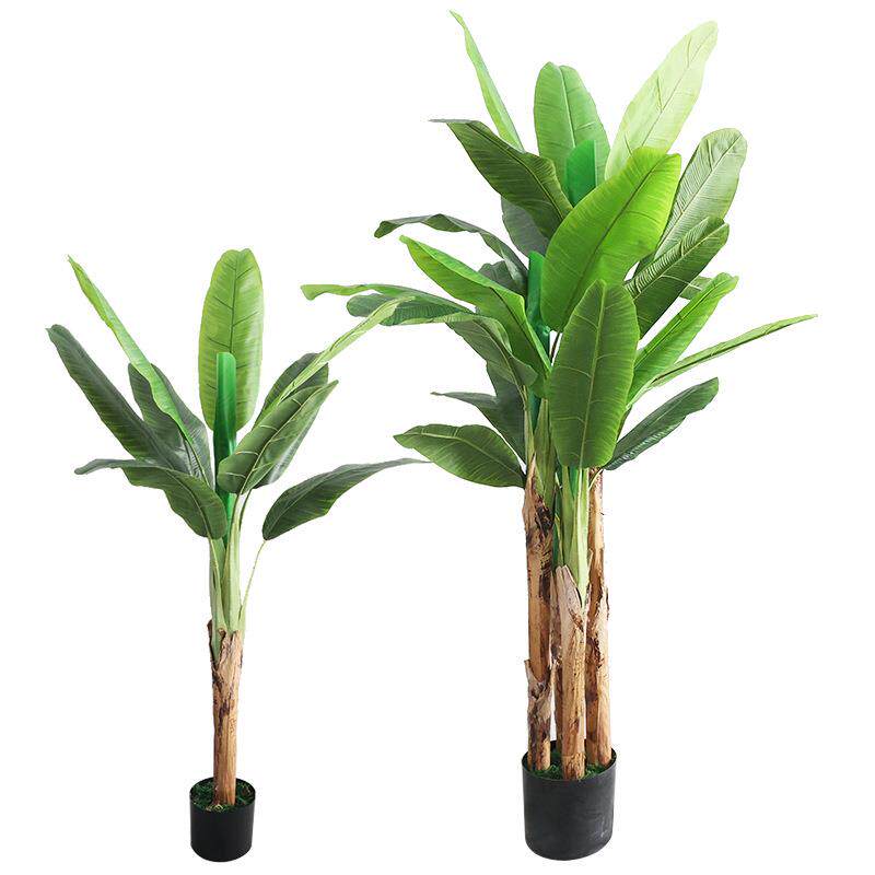 新仿款仿大型真大叶芭蕉树装饰生绿植室内造景观假高端植物ZWT树