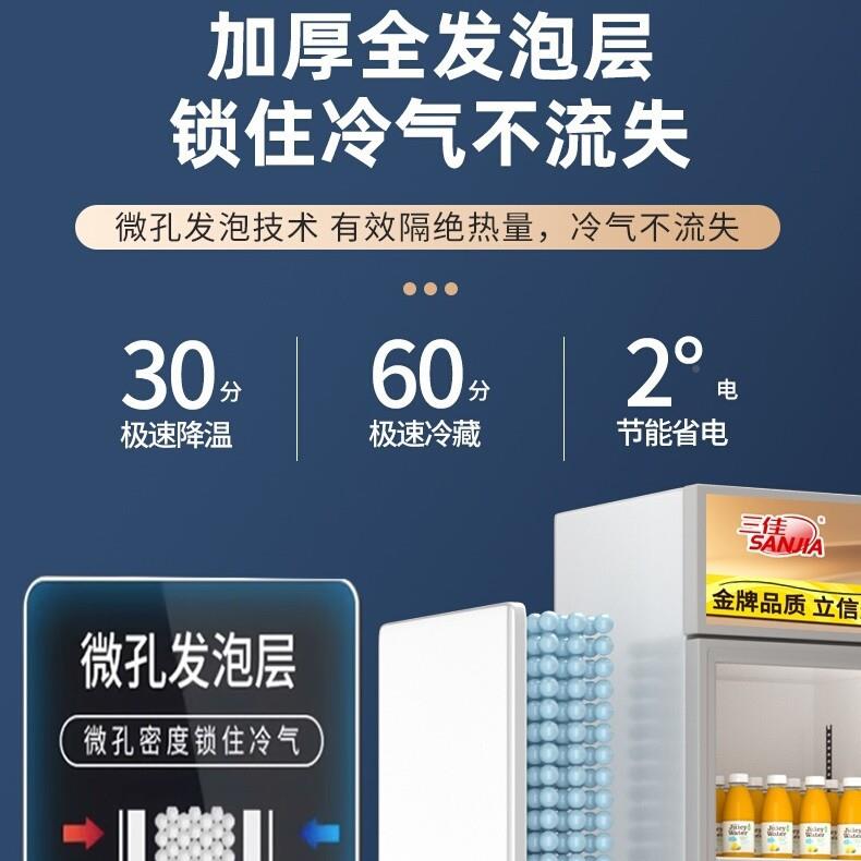 展藏示柜饮料超市保鲜柜商用柜饭店冷式冰07942106箱单门冰柜双门