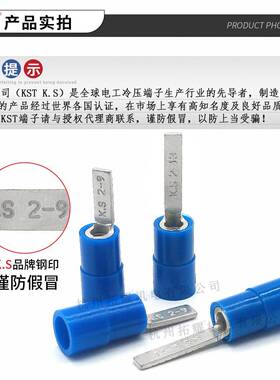 KS/T健KYP和兴DBNY2-9/0138/1片形尼龙绝缘端子U1LRoHS认证K.S插