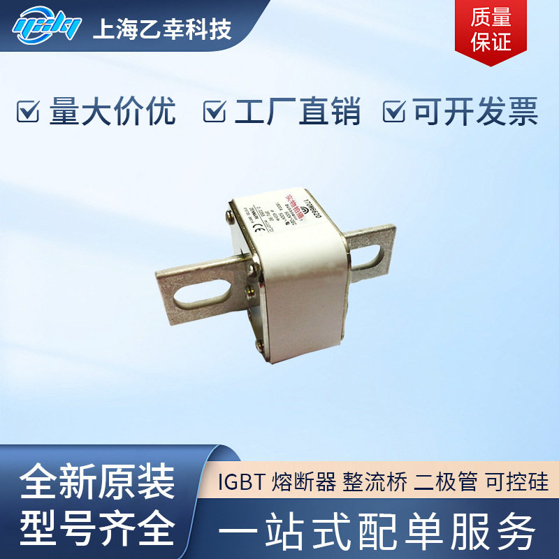 巴斯曼熔断器170M6943-6947
