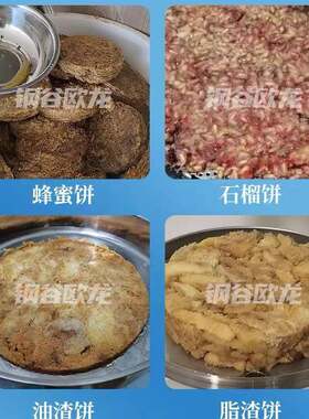 欧龙跨境资质现货不钢机压榨油机商用蜂蜜酒糟葡萄榨汁锈YY-S8油