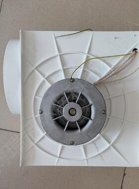 LX250低19803噪音聚丙烯离心风机验室通风PP塑料实防耐腐酸工业风