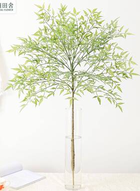 真植物软IFN胶南竹天葵竹新中式家居装饰工程造景橱仿窗展示绿天
