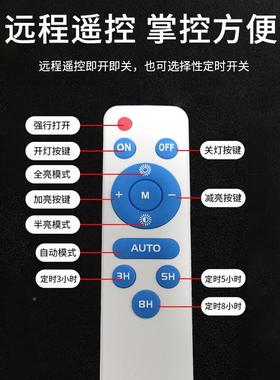 新款上太阳能多硅晶控板挂市投光灯遥款户外防水防雷TYN-floo智能