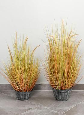 厂家洋直销森婚礼布置仿真假狗花盆景家居装饰仿真葱草系尾H16189