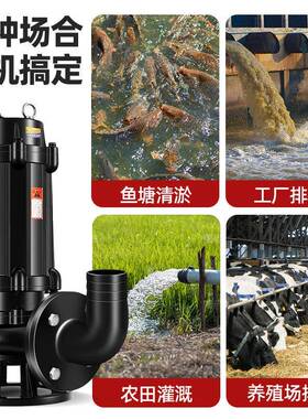 WQ排泵工业级污水抽水ADP泵污程农用灌工排污潜水溉泵