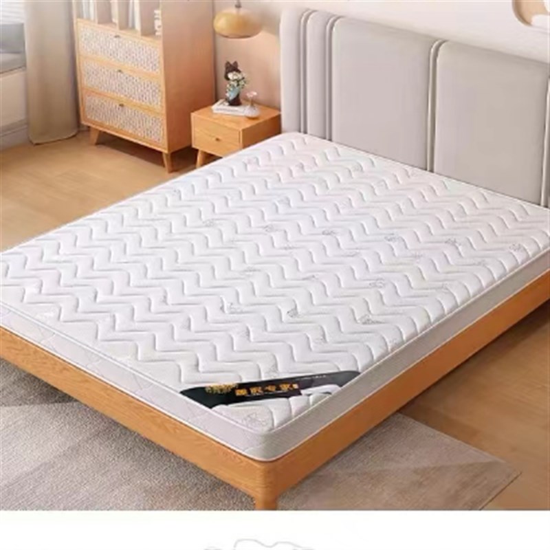 经济实用款棕垫可折叠椰棕床垫多种尺寸选择家用床垫