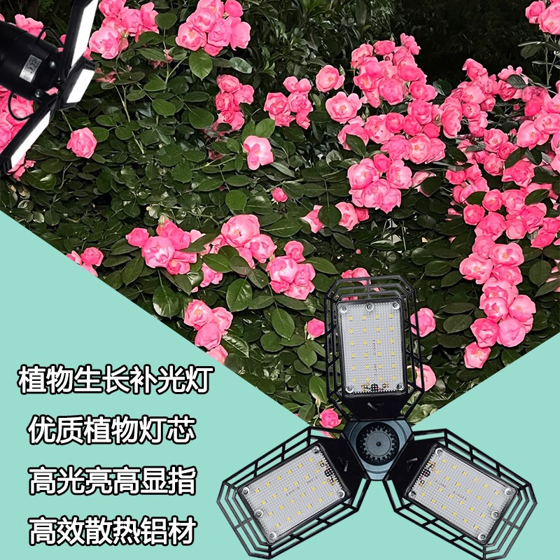 全光谱生长灯仿太阳光蔬菜草莓花卉育苗室内多肉植物灯植物补光灯