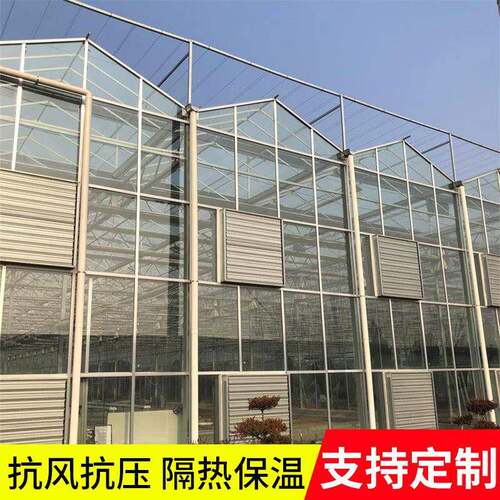 玻璃温室大棚阳光板温室连栋菜花卉养殖棚农业种植玻璃大棚定 制