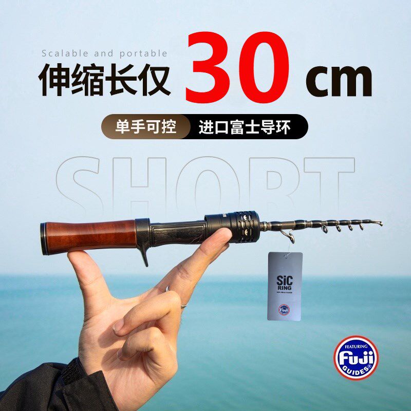 D-260X1振出式伸缩杆L硬度迷你路亚竿便携微泛用杆旅行竿