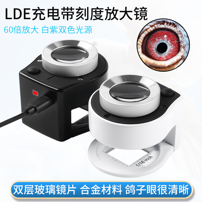 USB充电高清60倍紫光led灯放大镜看鸽子眼照布镜经纬向刻度显微镜