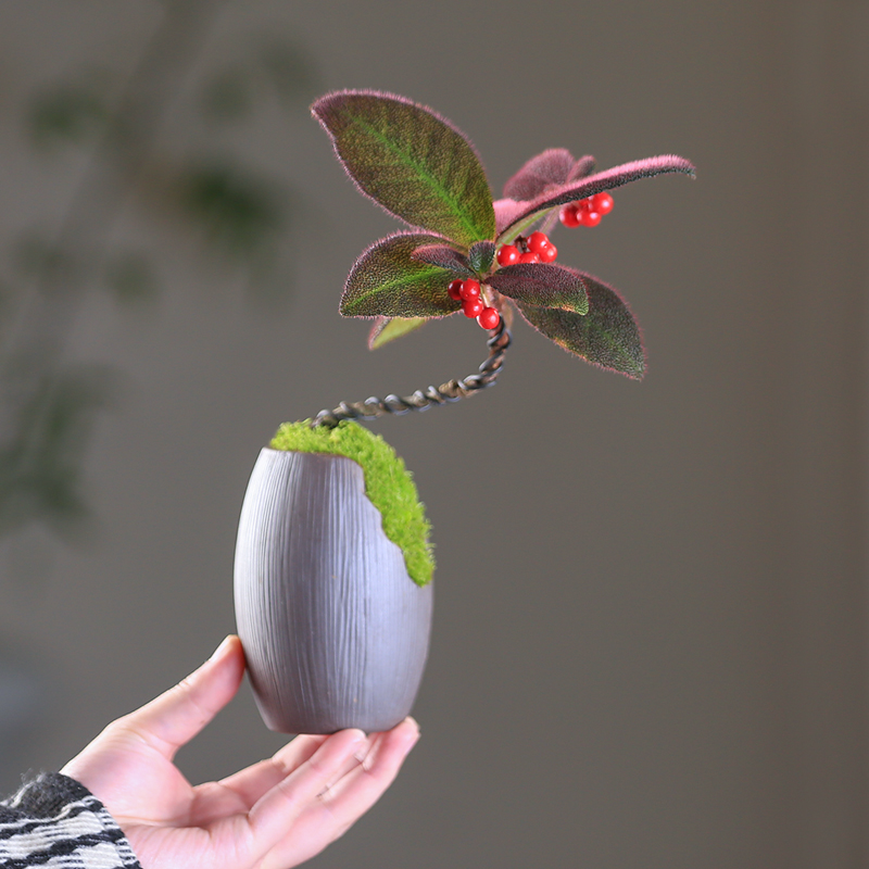 虎舌红盆栽桌面创意造型盆景室内客厅观果绿植带果耐寒植物好养