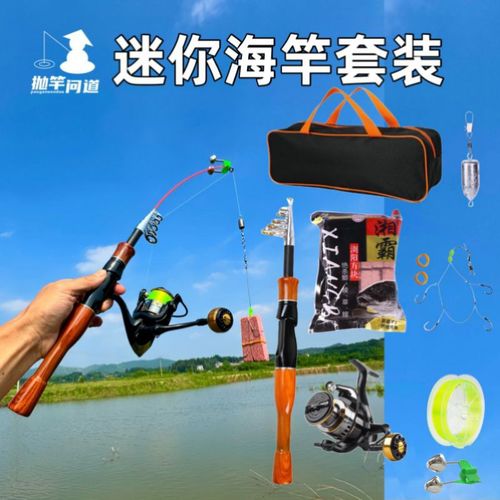 抛竿问道迷你海竿套装超硬便携短小1.68米浏阳钩钓法钩饵全套钓组
