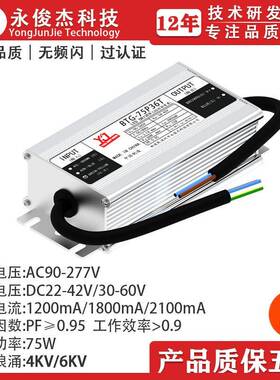 植物灯75W无频闪LED防水电源EMC浪涌6KV投光灯工矿灯路灯电源