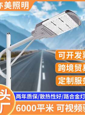 led市电路灯可调角度室外公园亮化道路照明大功率路灯杆户外