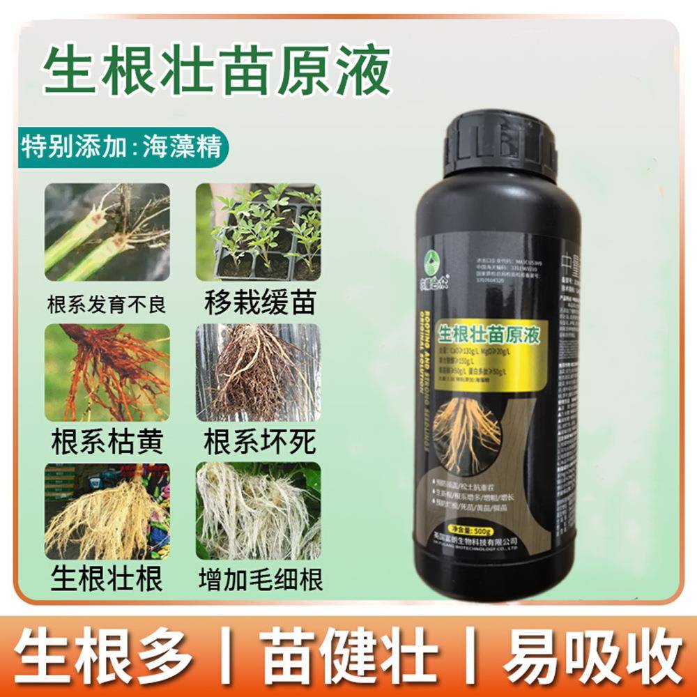 快速生根液粉剂扦插 金钱树 营养液植物通用型水培花卉绿植促生长