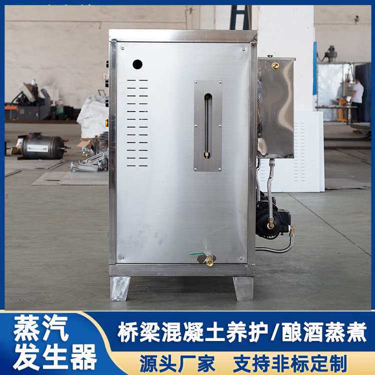 小型电加热蒸汽锅炉辊筒反应釜加热豆浆酿酒304不锈钢蒸汽发生器