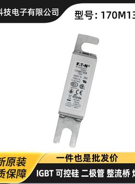 170M6802 170M6803 170M6804 170M6805原厂快速熔断器 高压熔断器