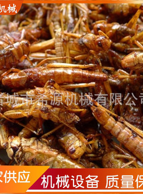 2024蚂蚱油炸机  昆虫油炸设备 电加热蚂蚱油炸流水线 地方美食