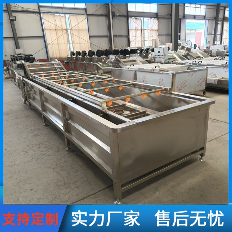 蓝莓花生泥土清洗机全自动樱桃果蔬清洗机商用气泡清洗机