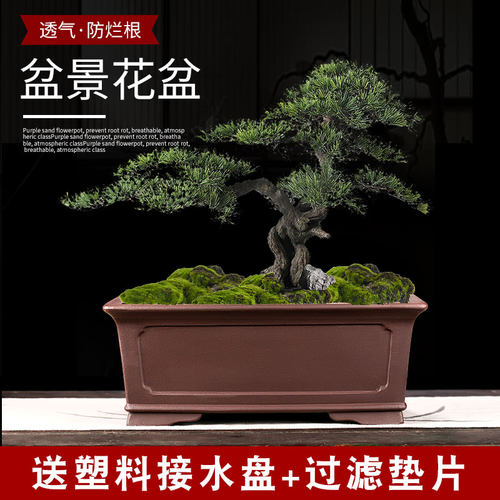 宜兴高端精品紫砂花盆四方盆特大号陶瓷花盆长方形家用小花盆高档