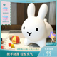 儿童充气跳跳兔带音乐打气塑胶皮马孩子蹦跳骑马坐骑宝宝木马 免邮