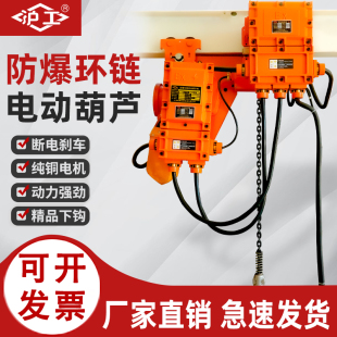 沪工防爆环链电动葫芦特种矿用无火花吊机1/3吨5吨葫芦气体挂钩式