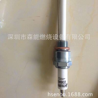 RM200燃烧器点火棒 100049-2 100050-2燃烧器燃烧机配件 电极棒