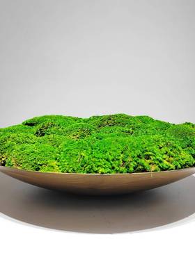 新中式仿谈真桌绿植33601摆设永生苔藓盆景样板房洽桌植物花装饰