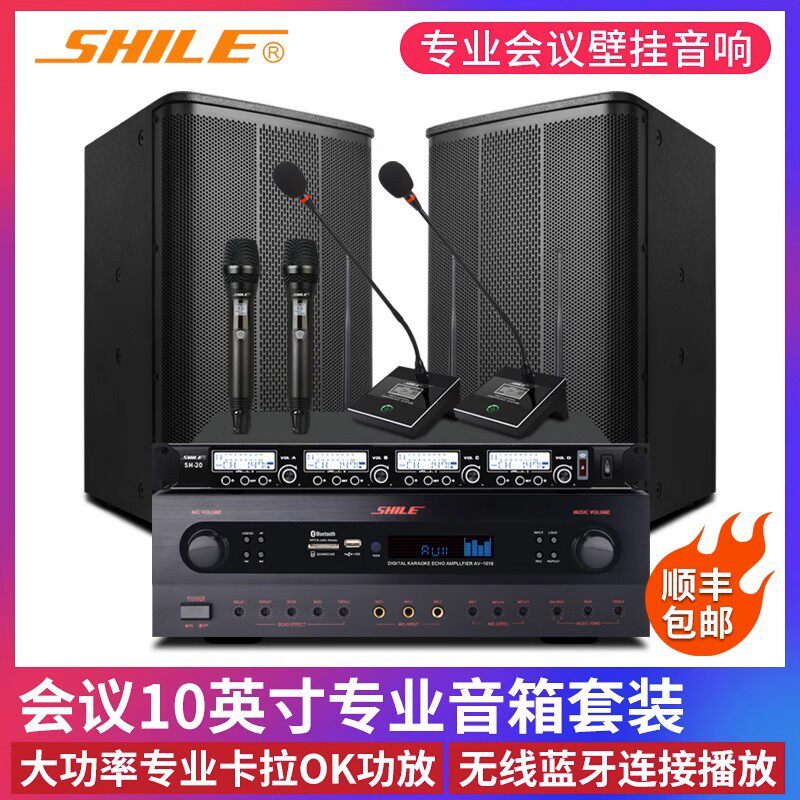 狮乐(SHILE)AV-1018+BX-505音响组合家庭KTV企业会议酒店商超背景