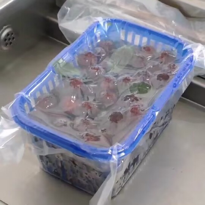 杨梅真空包装袋 单面纹路真空袋大尺寸杨梅运输包装抽真空保鲜袋