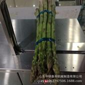 型佛香纸钱扎带机商盒用MZP全动捆扎设自备纸封盒扎带小机