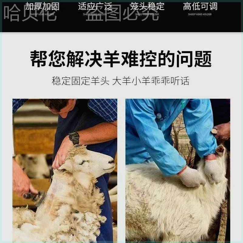 新款支架固定架剪羊毛推挤奶子修蹄羊MKD头套型定架打针固升降毛