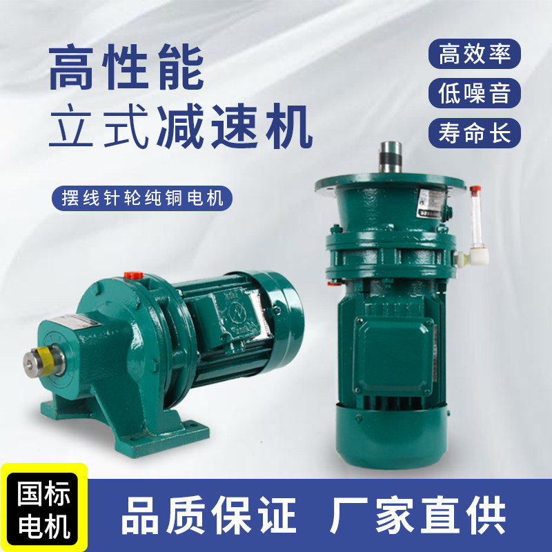 摆线针轮减速机国标铜芯电机
