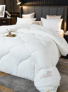 被子被加厚磨毛大豆冬纤通维IDV子棉被芯保暖羽丝绒春秋被母被四