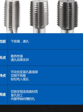 直2730槽HSS直槽机X用丝锥攻M3M36M37X0.5X1X1.5X2X2.53X53.5X4细