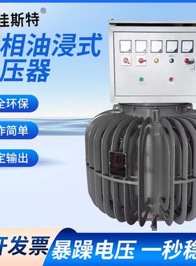 油式浸稳压器隧道隧道升0压器380v式三相油浸稳TNSJA-35压器200kv